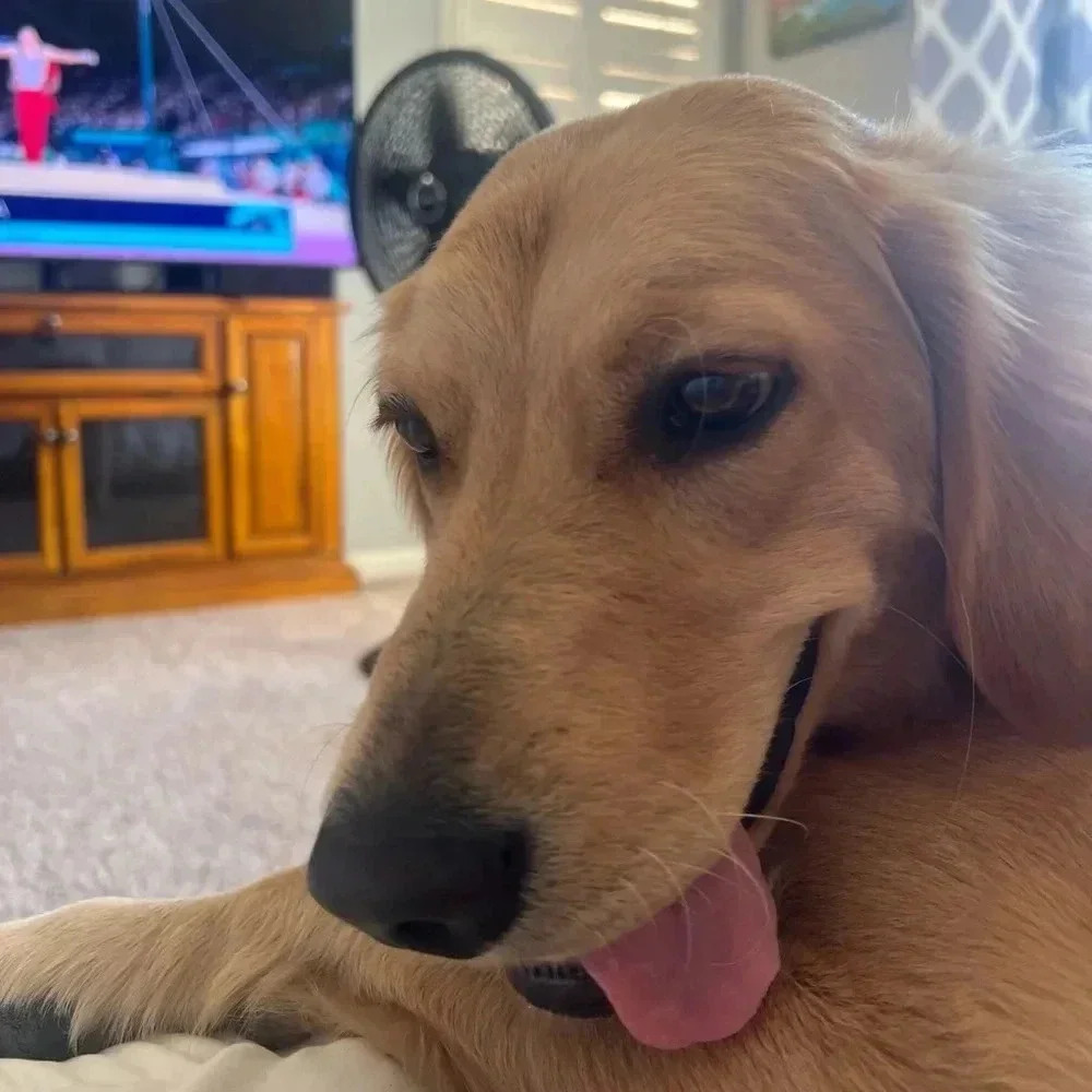 UNLISTED ITEMS FOR LIVE SHOWS!💗